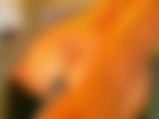 Live cam show with AnnieWolf - Bedroom on CamClone