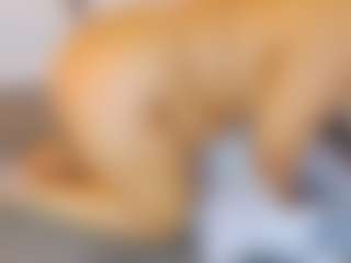AnnieWolf's Live Sex Cam Show