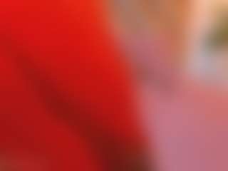 crazyorange's Live Sex Cam Show