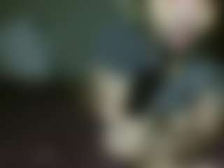 universethadon's Live Sex Cam Show