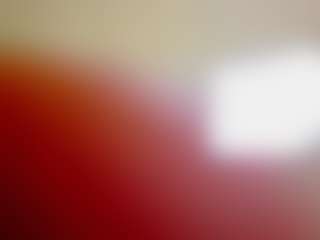 BreeTerner's Live Sex Cam Show