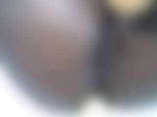 Cute-arabela's Live Sex Cam Show