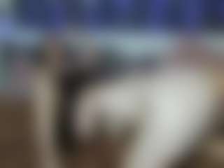 Live cam show with StormySavage - Amateur on Uber Horny