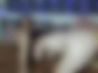 Live cam show with StormySavage - Normal on Ass Tok