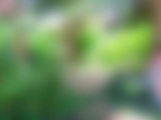 Tunderosee's Live Sex Cam Show