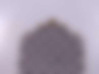 annn-scott's Live Sex Cam Show