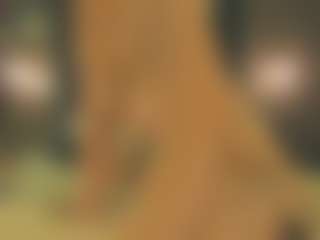 Live cam show with Emma - Big Tits Dildo on Hubzter Live