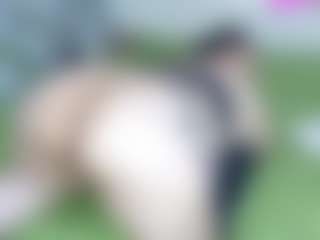 Live cam show with sean pierre - Average on Camsoda