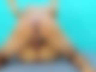 Live cam show with PartySwingers - Spank on SinfulBabes