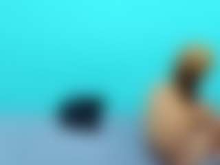 PartySwingers's Live Sex Cam Show