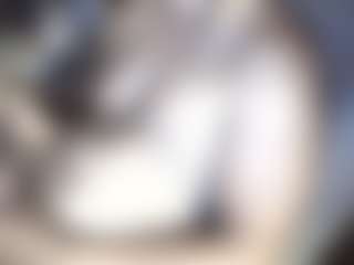 Live cam show with Topsykrit_J - Chubby on pussylord.com