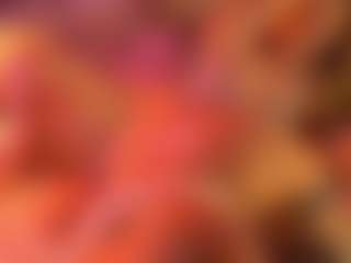 MARY-T's Live Sex Cam Show