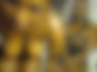Bella's Live Sex Cam Show