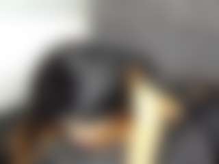 ArianaSalazar's Live Sex Cam Show