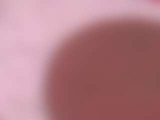 maddisonblush's Live Sex Cam Show
