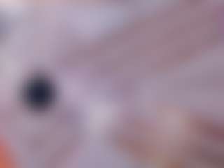 Live cam show with Sexyladyandhot - BBW Mature on Hubzter Live