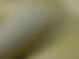 Live cam show with sophiieelee - Lovense on anonymated.com