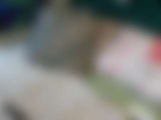 Live cam show with Stonergirl - Ebony Big Tits on Pornisteam.com