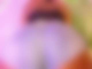 Live cam show with abigail-bolton - Asshole on liverealitysex.com