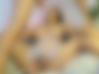 mialove229's Live Sex Cam Show