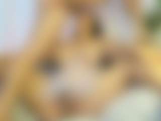 mialove229's Live Sex Cam Show