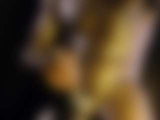 MrBigDiQ's Live Sex Cam Show
