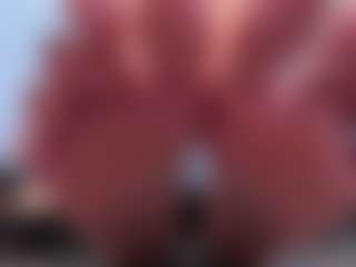 Live cam show with clarisse28 - Public on https://playwithruby.com