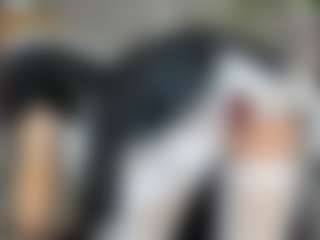 Live cam show with Lola - Red Hair on Strip Flash - Live Sex Shows