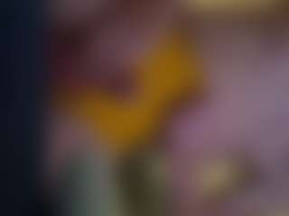 wolfgangjerker's Live Sex Cam Show