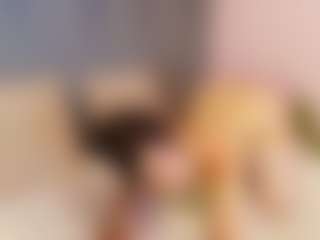Adara Johnson's Live Sex Cam Show