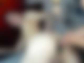 Live cam show with bullpower - No Drinking on Nude Chat * 1 On 1 Webcam Sex * Live Cam Show