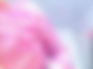 Live cam show with SAFIRO-AGATA - Latina on Hubzter Live | colombia