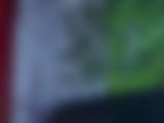 anymour's Live Sex Cam Show