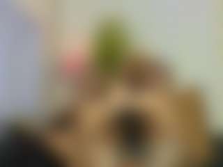 Camila360's Live Sex Cam Show