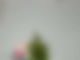 Camila360's Live Sex Cam Show