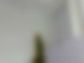 Camila360's Live Sex Cam Show