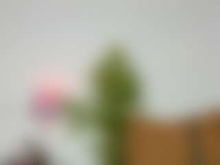 Camila360's Live Sex Cam Show