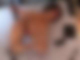 JinxVe's Live Sex Cam Show