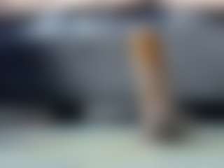 Live cam show with Softcutegirl - Bedroom on Strip Flash - Live Sex Shows