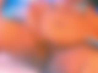 Live cam show with EbonyHotBuns - Ebony on Camsoda | south africa