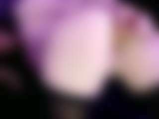 Midnightrose11's Live Sex Cam Show