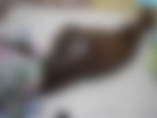 theshe's Live Sex Cam Show
