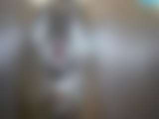 Show de cam sexual en vivo de theshe