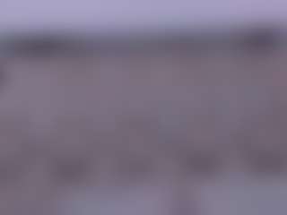 Live cam show with allijadid - Cock Rating on Fapmatic.com