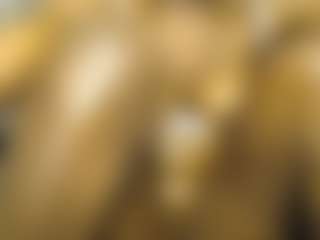 Queen-bree's Live Sex Cam Show