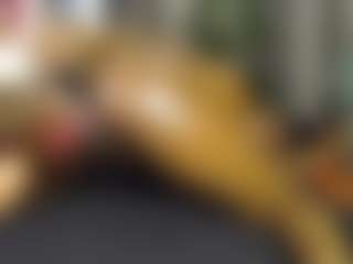 Queen-bree's Live Sex Cam Show