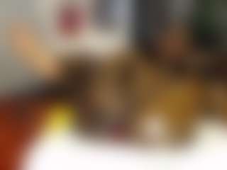 Live cam show with Queen-bree - Black Dildo on Milfs Live