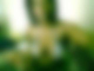 Sugar9lexi's Live Sex Cam Show