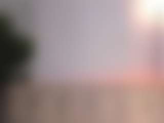 madison-whiite's Live Sex Cam Show