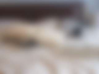 YourL1ttleAngel's Live Sex Cam Show